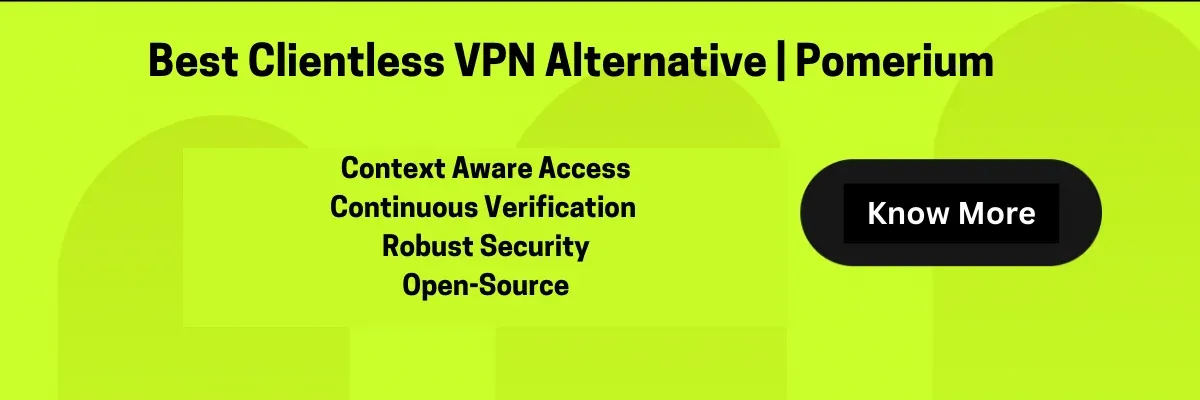 Clientless VPN Alternative