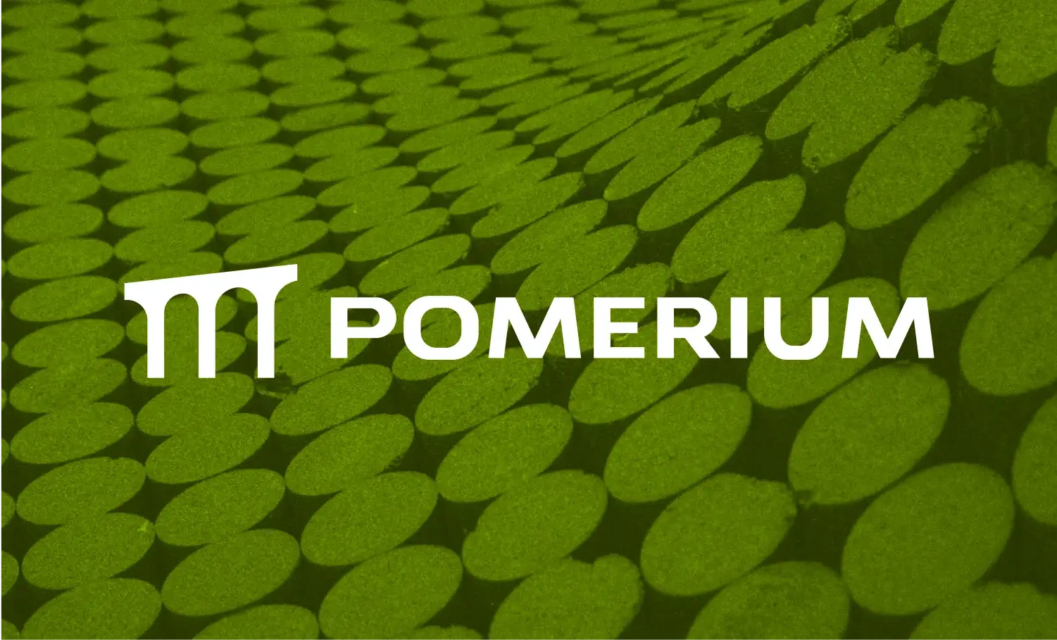 Announcing Pomerium v0.22